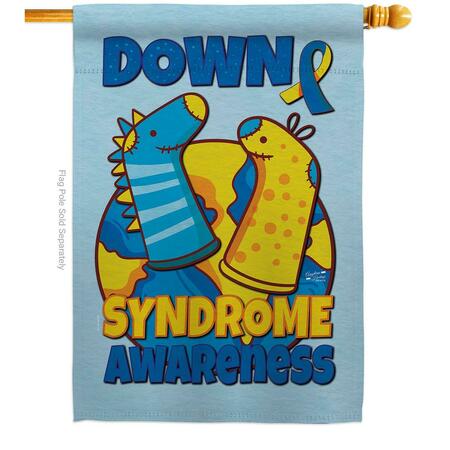ANGELENO HERITAGE 28 x 40 in. Down Syndrome Sock House Flag H130424-BO